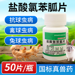 兔子球虫药专用球虫病常备药品兔鸡驱虫药兽用盐酸氯苯胍片兽药