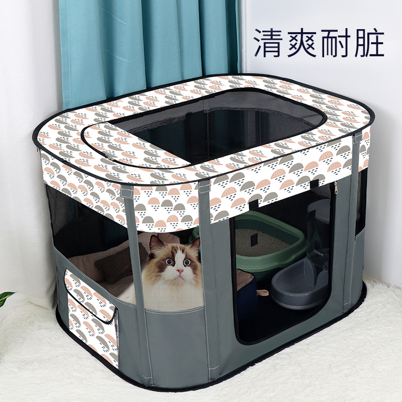 【小红书推荐】猫咪宠物产房