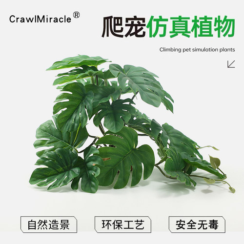 爬虫缸雨林造景植物仿真攀爬绿植