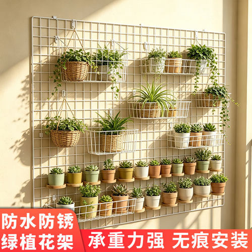 铁艺网格花架攀爬架户外庭院阳台藤架防水防锈月季铁线莲攀爬网架