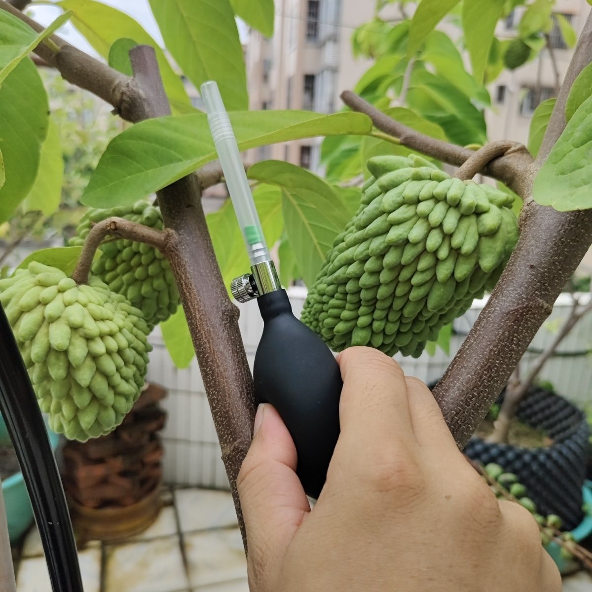 释迦果授粉器凤梨专用新C图片