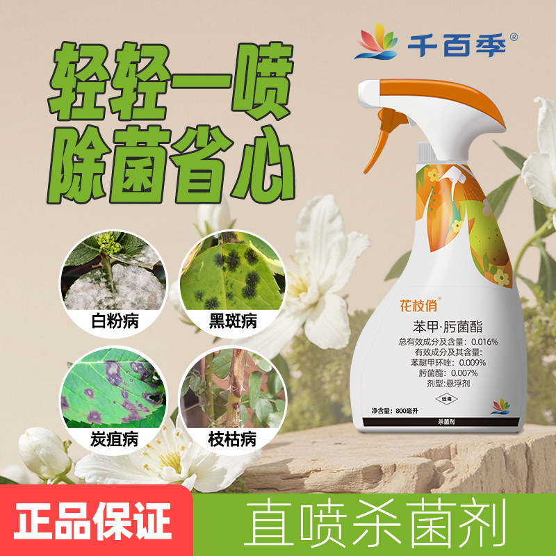 千百季花枝俏植物杀菌剂专杀月季绣球白粉黑斑枯枝病室内养花花药图片
