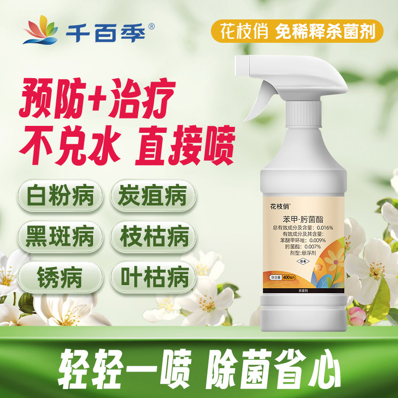 千百季花枝俏植物杀菌剂白粉黑斑炭疽月季兰花家庭室内通用杀菌剂