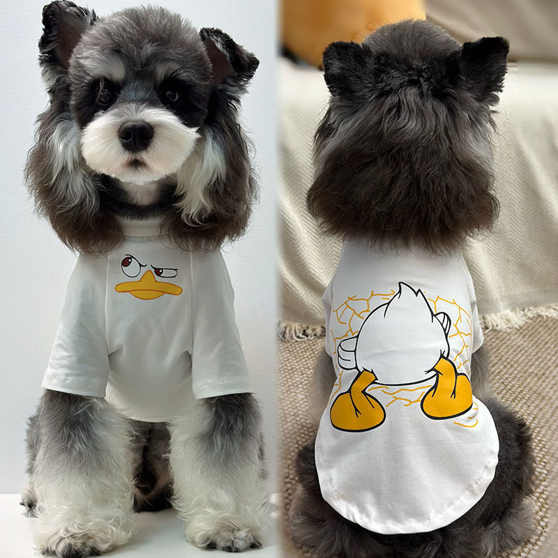 狗狗猫咪潮流时尚狗宠物服装