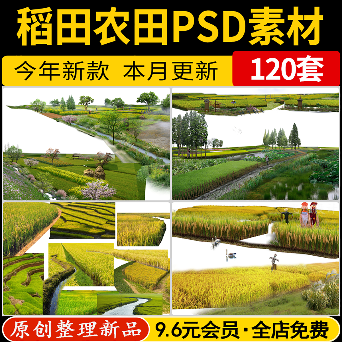 PS稻田农田景观 美丽乡村田园风光农作物 鸟瞰效果图psd分层素材