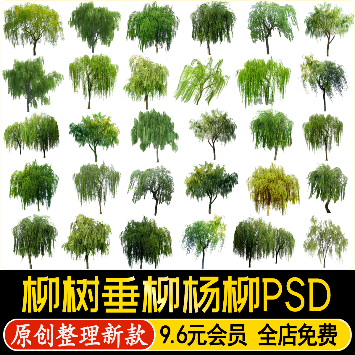 柳树垂柳杨柳旱柳PS行道树滨水湿地植物景观树乔木PSD免抠素材