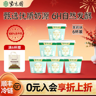 【年后发货】紫光园京城茉莉奶皮子酸奶风味奶酪乳制品北京老字号