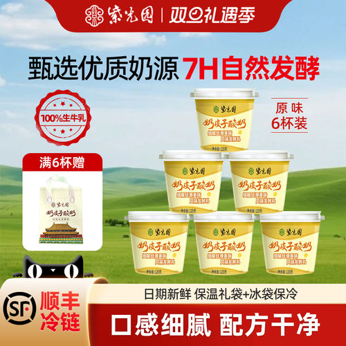 紫光园老字号奶皮子酸奶