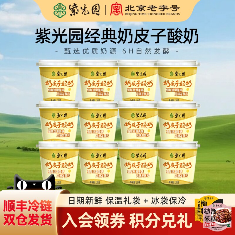 紫光园奶皮子冰淇淋组合酸奶