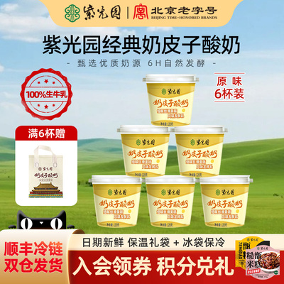 紫光园奶皮子酸奶120g/杯