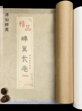 雁皮蝉翼长卷白色仿古纸毛边纸小楷书法创作工笔仿手工古法临摹纸