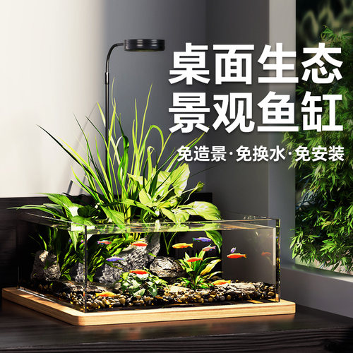 沁桌面玻璃生态缸免造景全套鱼缸