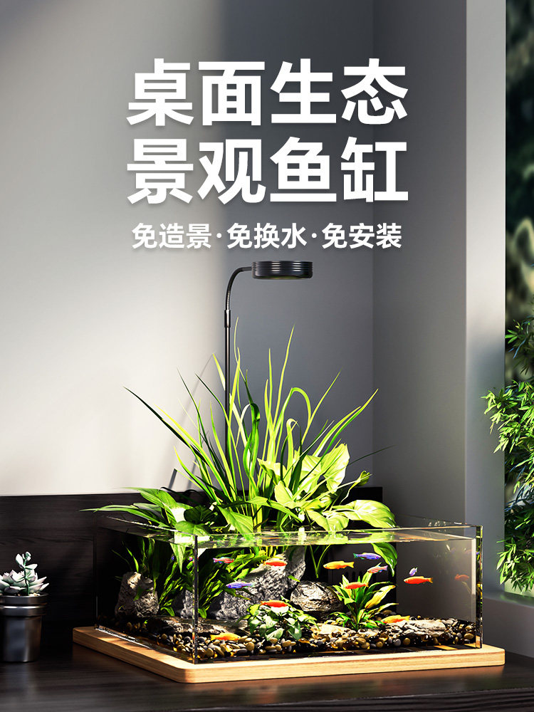 小鱼缸客厅小型2025新款生态微景观玻璃溪流缸造景全套超白桌面缸