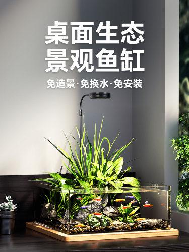 小鱼缸客厅小型2025新款生态微景观玻璃溪流缸造景全套超白桌面缸