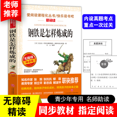 钢铁是怎样炼成的 爱阅读课程化丛书快乐读书吧无障碍精读版 课外阅读物书籍