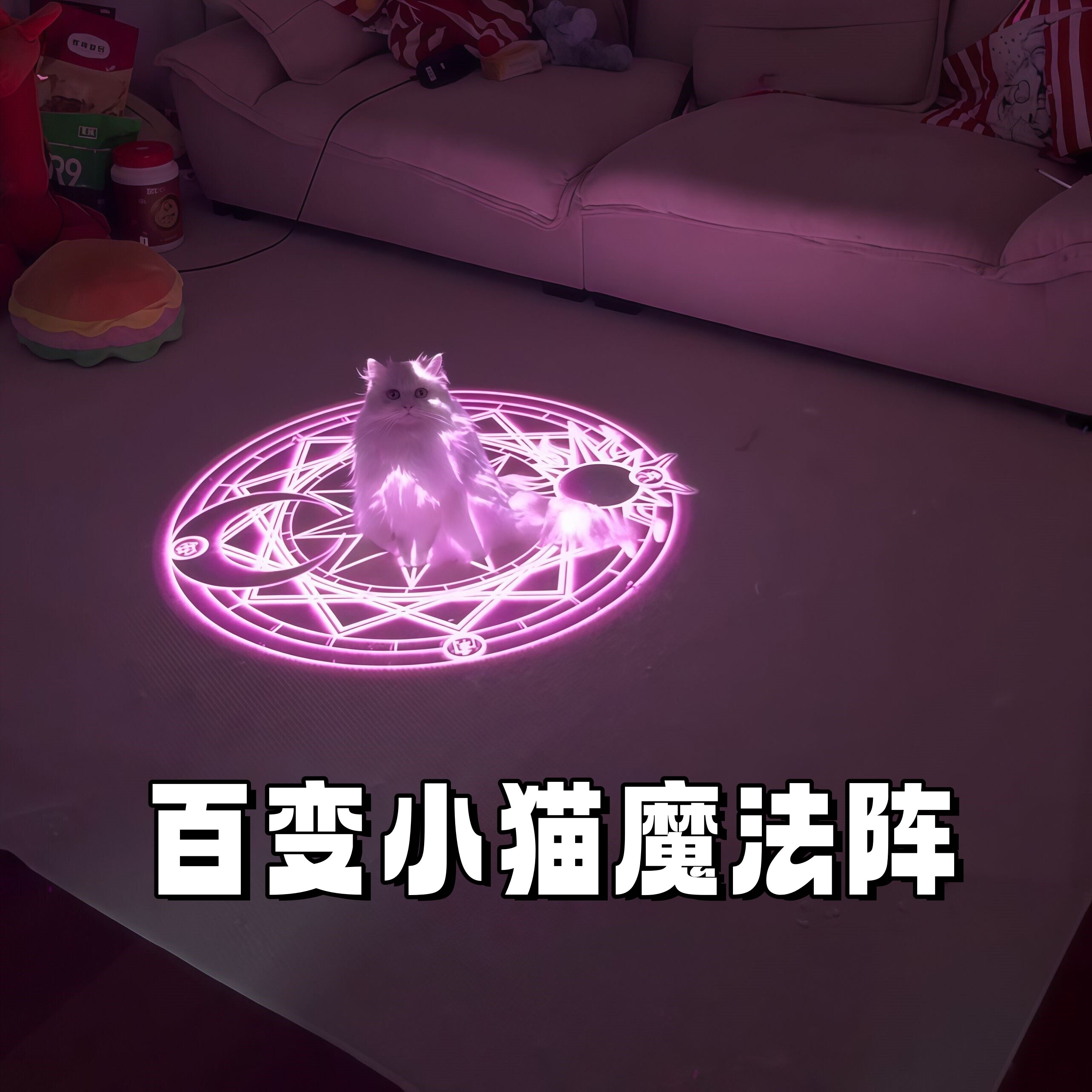 变身百变小猫魔法阵投影灯入户感应灯猫咪出片神器氛围装饰灯创意