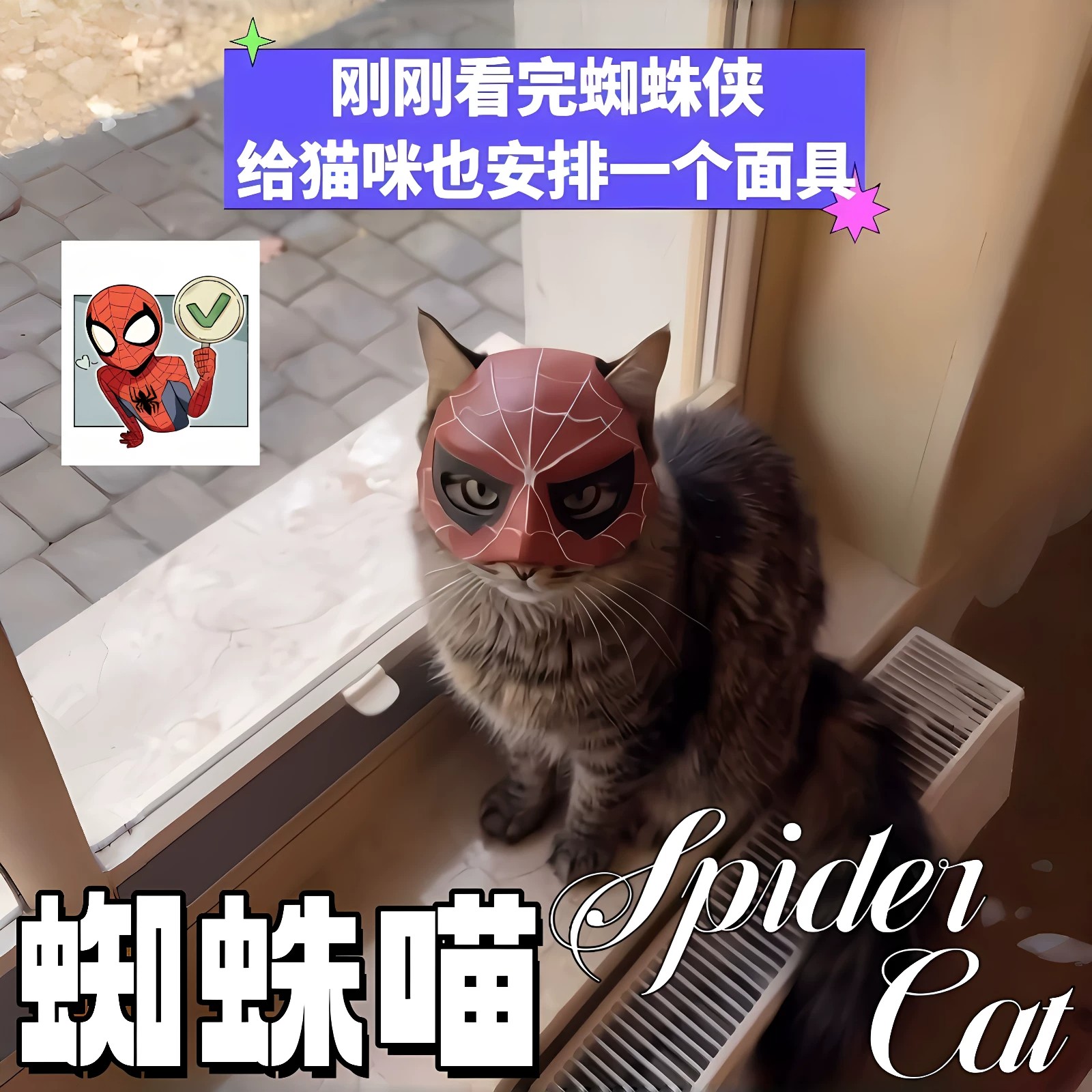 蜘蛛喵蜘蛛侠猫咪半脸面具拍照