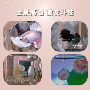 泰国斗鱼训练镜子专用悬浮球缸外镜罗汉鱼雷龙鱼造景小型鱼缸摆件