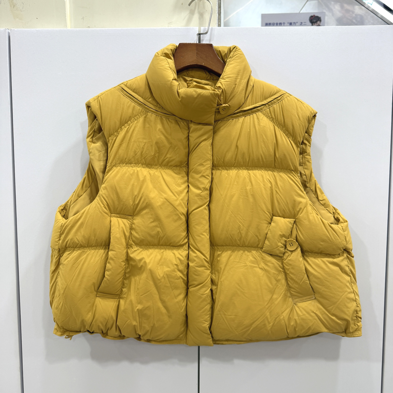 DHZ欧洲站25冬单边纽扣口袋拉链立领减龄百搭短装羽绒面包服马甲