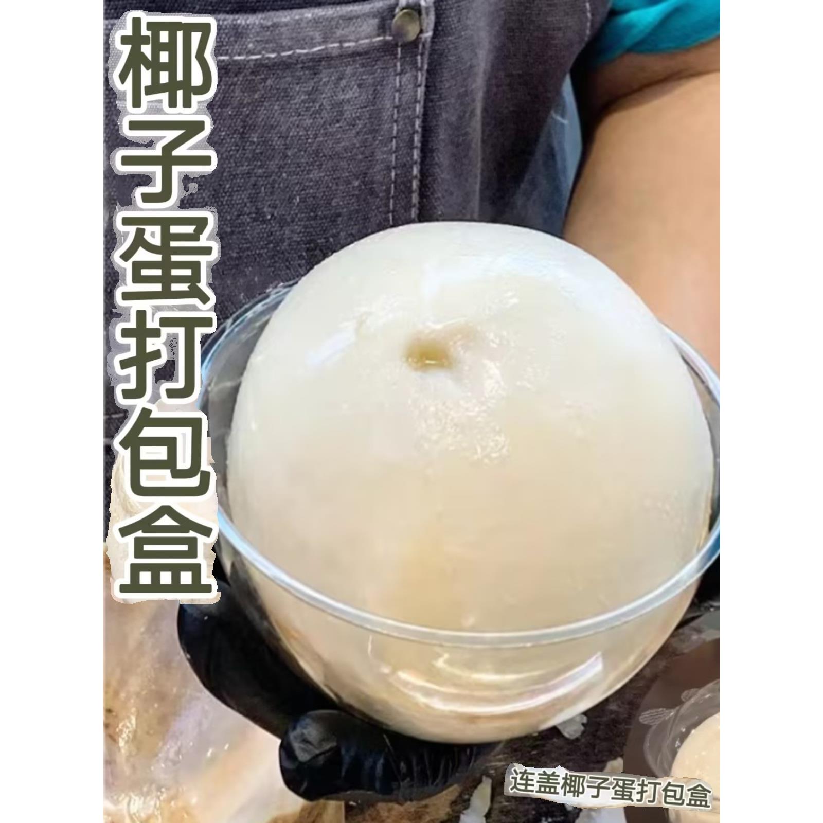 椰子蛋打包盒一次性透明椰奶盒网红椰子下蛋打包碗食品级椰子冻碗