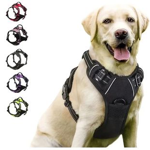 for Pet Collars Harness Big Dog Shop Leash Vests Everything
