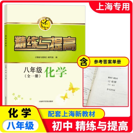 2025秋精练与提高化学 八年级第一二学期/8年级上下册 含答案 上海版配套教辅练习