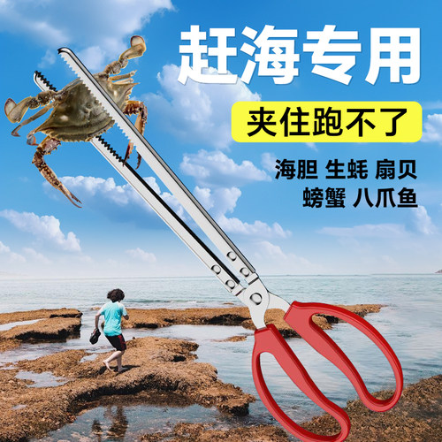 赶海工具赶海夹子黄鳝夹子鳝鱼夹泥鳅螃蟹钳子赶海神器火钳垃圾夹