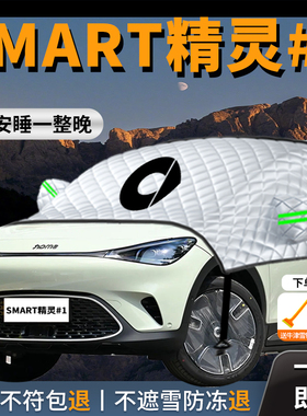 奔驰SMART精灵一号斯玛特汽车遮雪挡防霜防雪防冻前挡风玻璃罩车1
