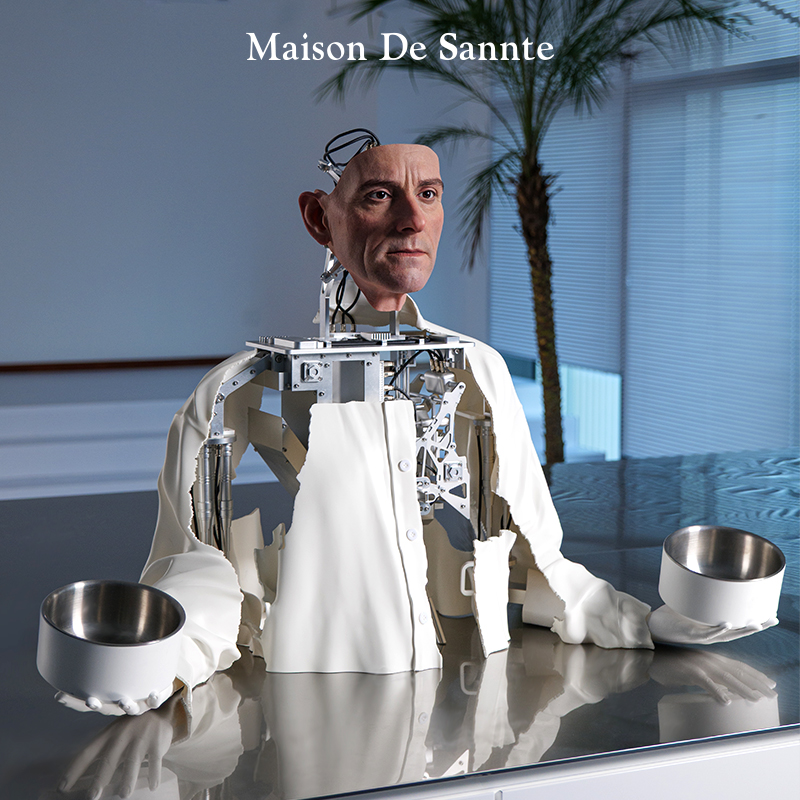 《亲密的替身》MDS/梅森德桑特仿生机械人宠物碗 可定制硅胶人脸