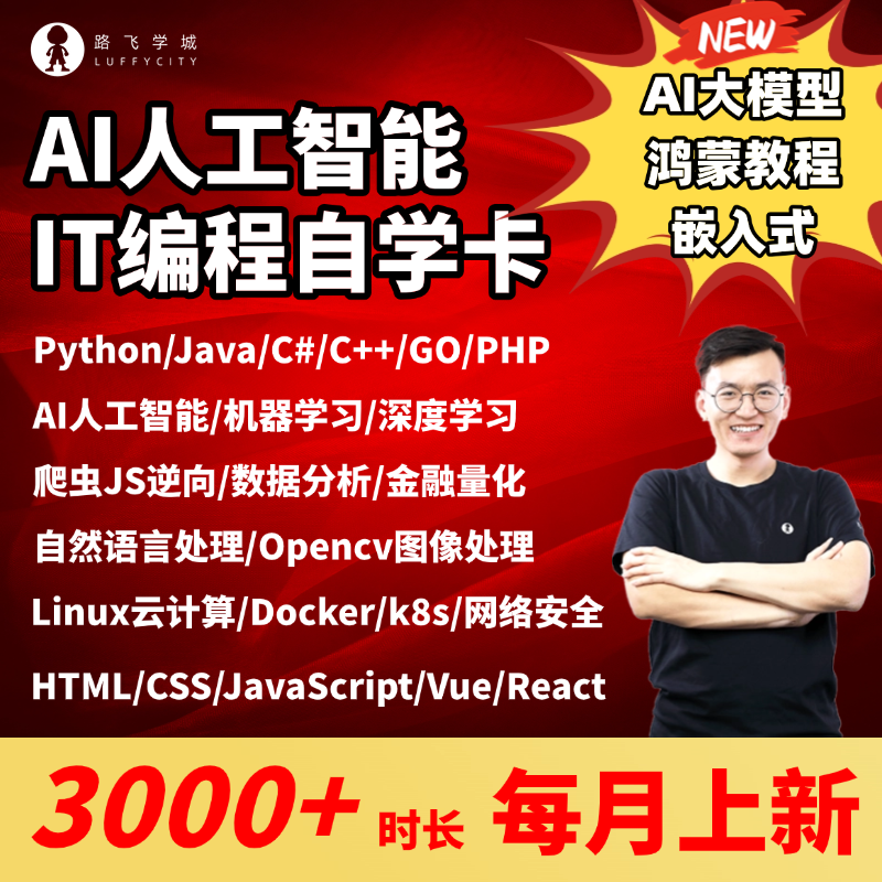 人工智能Python/Go/Java/Linux数据分析前端测试网络安全超市卡