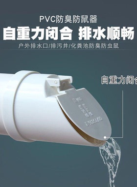 PVC排水管止逆阀下水道防反水排污口单向止回阀户外化粪池防臭虫