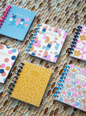 【色彩手册】THE HAPPY PLANNER色彩手册情绪记账手账本手帐本80页笔记本双胶纸可拆卸自律打卡计划本