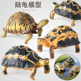 野生动物模型儿童仿真辐射陆龟乌龟蛛网陆龟巴西龟金钱龟礼品