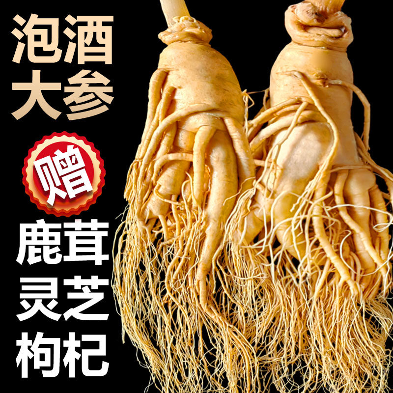 长白山整枝鲜人参煲汤泡酒人参