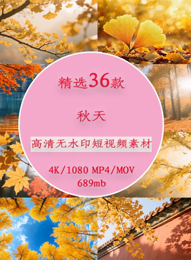 唯美金黄色秋天秋季风景视频秋天文艺短视频秋天枫叶落叶树木视频