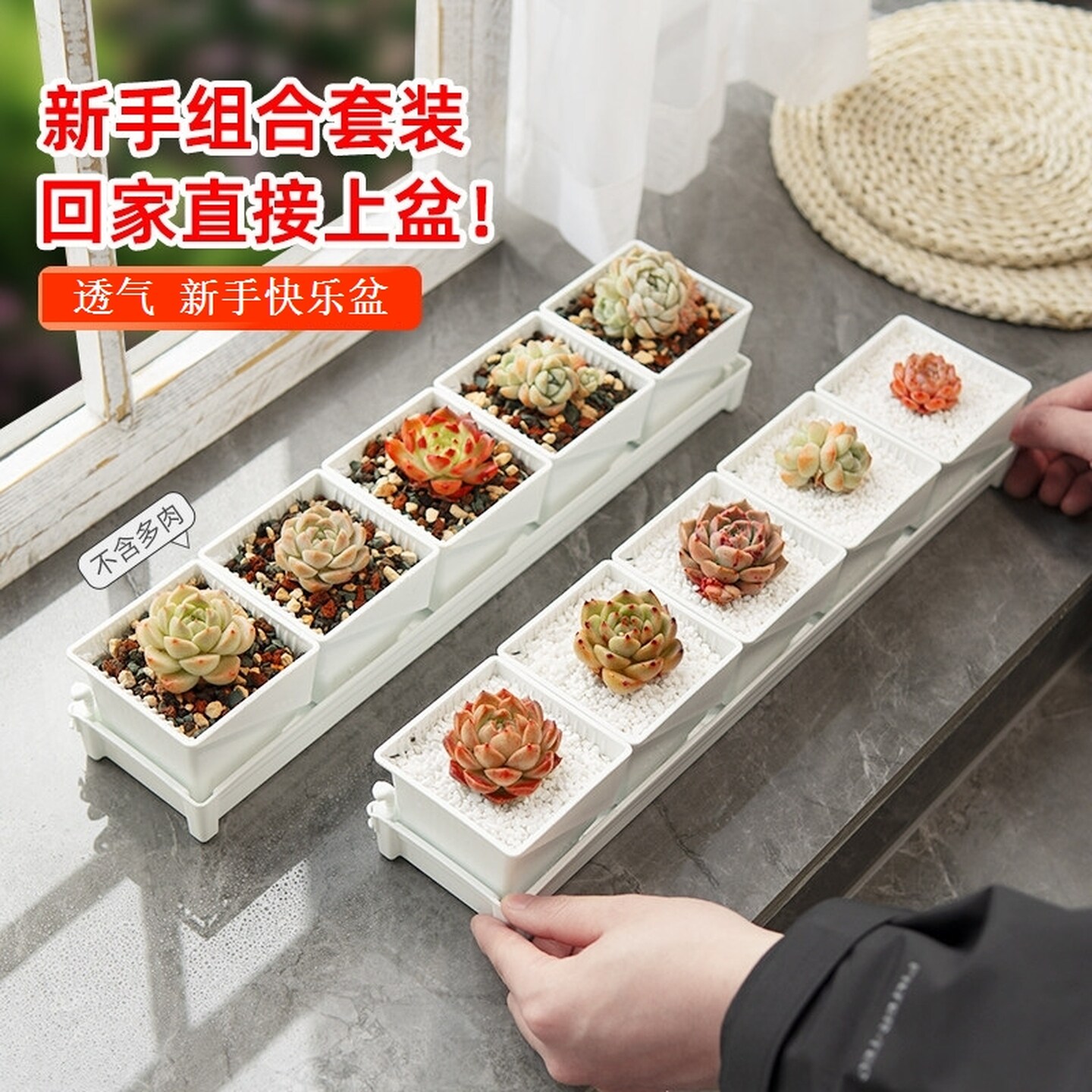 多肉专用小花盆控根花盆多肉植物花盆肉肉塑料花盆托盘组合育苗盆