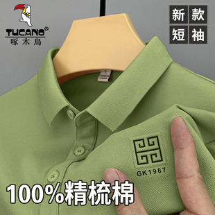 100%纯棉翻领polo衫 啄木鸟夏季 T恤男士 新款 休闲潮流中年上衣 短袖
