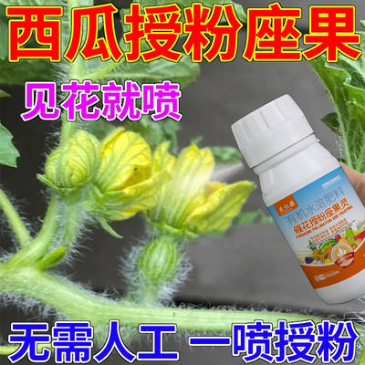 西瓜授粉专用药点花药免沾花授粉坐果精保花保果素防落防畸叶面肥