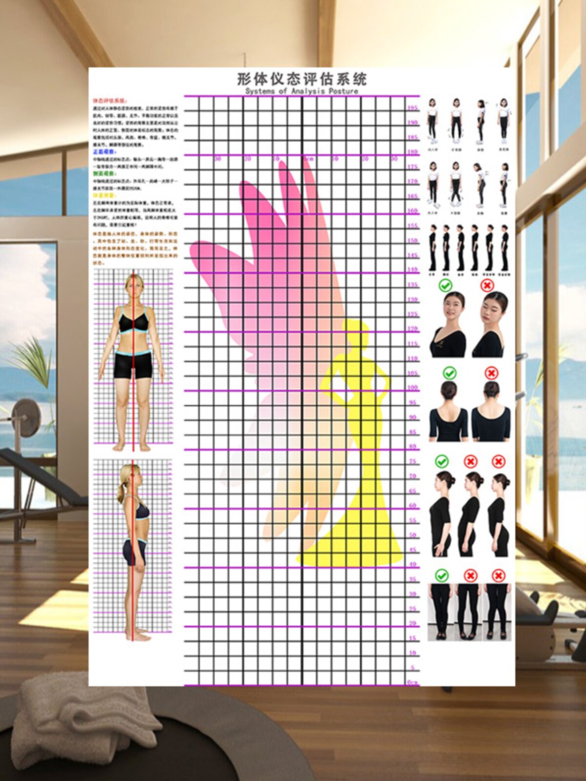 仪态形体纠正评估表舞蹈健美操模特礼仪体态姿势分析对比体态图表
