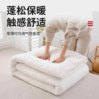 棉被学生宿舍加厚褥子垫被春秋棉花被芯夏凉被子被芯冬被