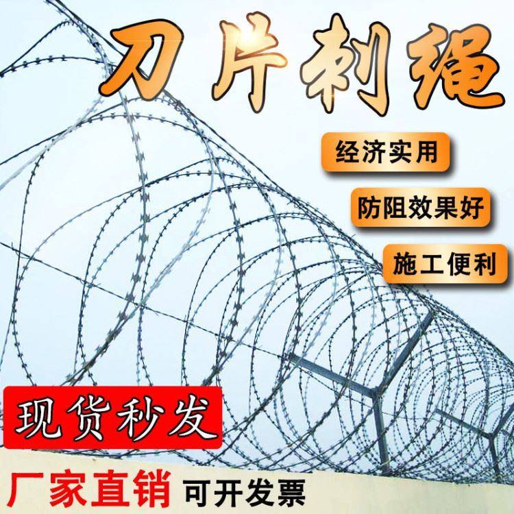 防盗网刀片刺绳围墙防护网刺丝滚笼刺铁丝铁蒺藜监狱网铁刺铁丝网
