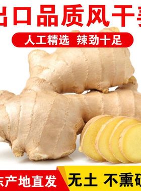 山东10斤大姜生姜老姜黄姜月子姜风干姜块新鲜食用蔬菜老姜母包邮