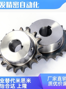 C-SPB10B17 18 19 21-S N-12 20 22 24 25 28 30 32 35 38 40链轮