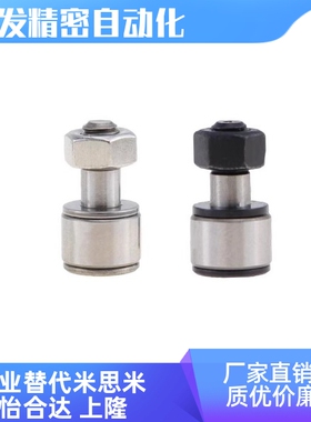 BPF21/22-d3-d4-d5-d6-d8-d10-d12-d20-d24-d30-PP凸轮轴承随动器