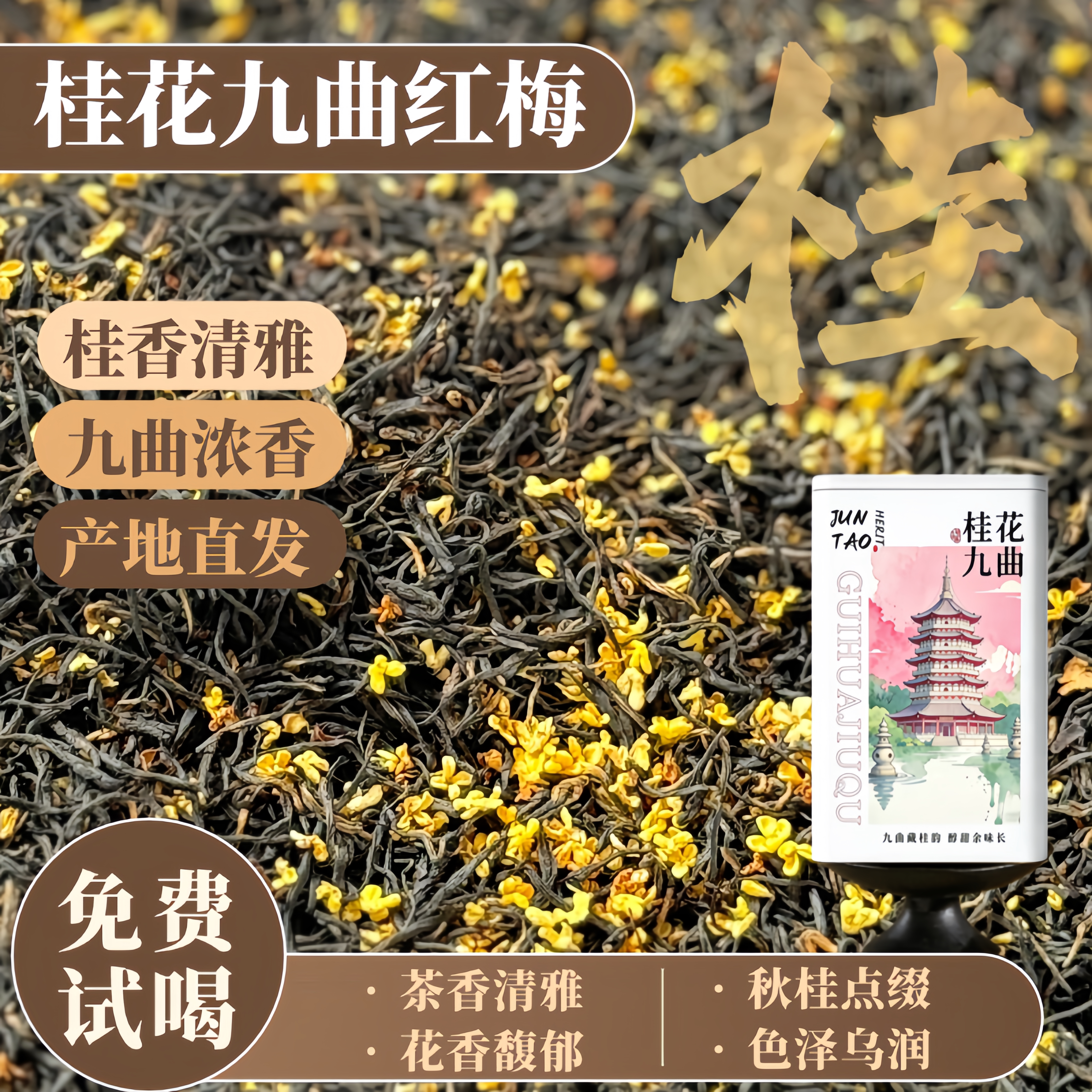 桂花九曲红梅浓香养胃香醇浓厚