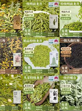 龙井茶桂花茉莉九曲红梅试喝装5g尝鲜品鉴浓香自己喝（满30包邮）