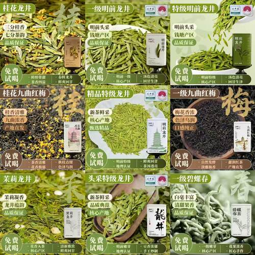 龙井茶桂花茉莉九曲红梅试喝装5g尝鲜品鉴浓香自己喝（满30包邮）