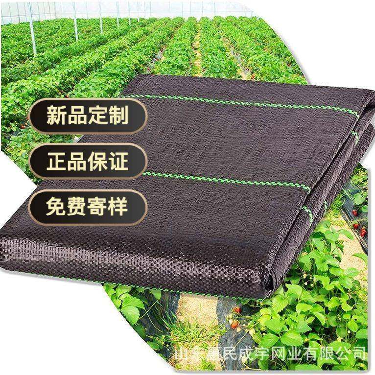防草布园艺农用大棚地布园林果树遮草布盖草保湿除草黑地膜除草布,橡塑材料及制品,泡沫塑料制品,淘宝优惠券,粉丝福利购,淘宝优惠卷