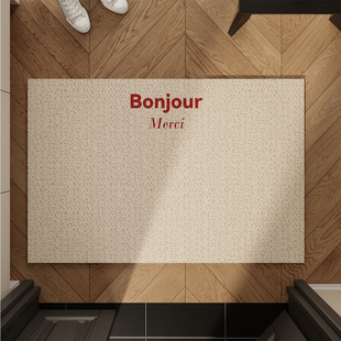 现代极简风入户门地垫丝圈防滑耐脏大门口门外进门脚垫可自由裁剪