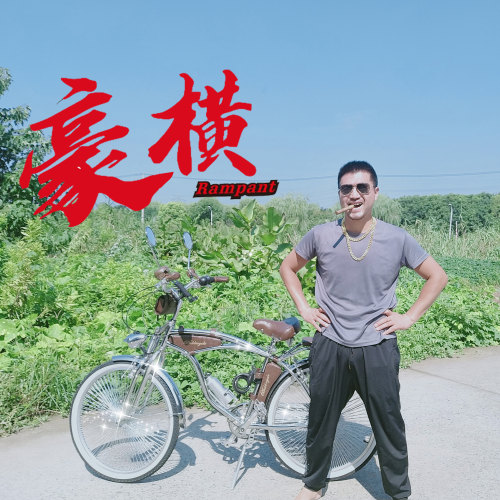 复古沙滩自行车7速26英寸欧美140辐条双减震Chrome Beach Cruiser